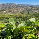 Photo taken by jenny G