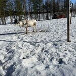 Photo taken by Beth M