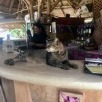 Photo taken by Shaula L