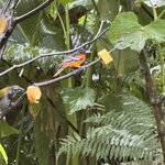 Photo taken by Ben B