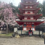 Photo taken by Caz J