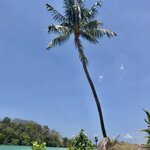 Photo taken by Shaula L