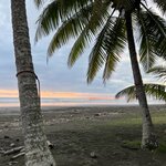 Photo taken by Victoria C