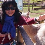 Photo taken by Tiffany Y