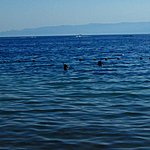 Photo taken by Sarah m