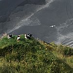 Photo taken by Sara H