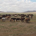 Photo taken by Kathleen L