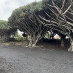 Photo taken by Catherine H