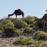 Photo taken by Colin L