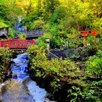 Photo taken by Paul R