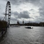 Photo taken by Tammy S