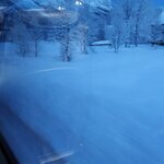 Photo taken by Paula S