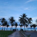 Photo taken by Vinh T