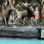 Photo taken by Priya R