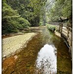 Photo taken by Fiona C