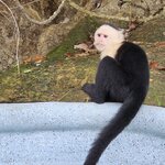 Photo taken by Peter F