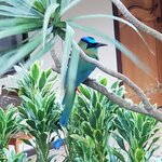 Photo taken by Garritt V