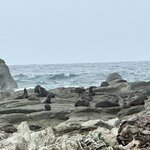 Photo taken by Lisa S