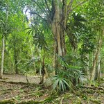 Photo taken by Camille S