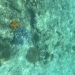 Photo taken by Cindy H