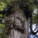 Photo taken by Mike C