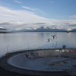 Photo taken by Mariellen S