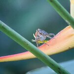 Photo taken by Blair H