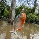 Photo taken by Jennifer B