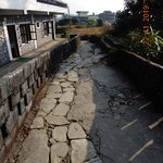 Photo taken by Wayne D