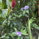 Photo taken by Matt P