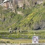 Photo taken by Dawn S