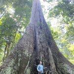 Photo taken by Dion F