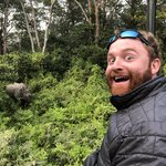 Rhino sighting during Jeep Safari | Photo taken by matthew h