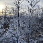 Photo taken by Genevieve R