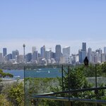 Photo taken by Linnaea M