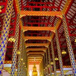 Photo taken by Steve B