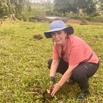 Photo taken by Kathy H