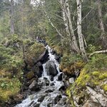 Photo taken by Kim M