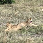 Photo taken by Virginia H