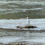 Photo taken by Meenakshi B