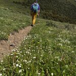 Photo taken by Donna W