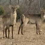 Photo taken by Paul B