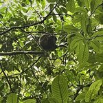 Photo taken by Alexia M