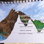 Coast, Mountain, Jungle! | Photo taken by Elisa M