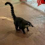 Photo taken by Emily H