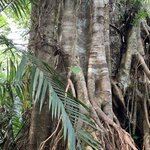 Photo taken by Julie H