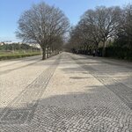 Photo taken by Drew O