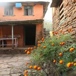 Photo taken by Peter S