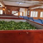 Photo taken by Tanya G