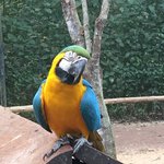 Photo taken by Ramnik B